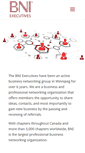 Mobile Screenshot of bniexecutives.com